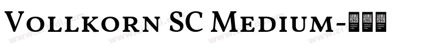 Vollkorn SC Medium字体转换 Vollkorn SC Medium字体转换